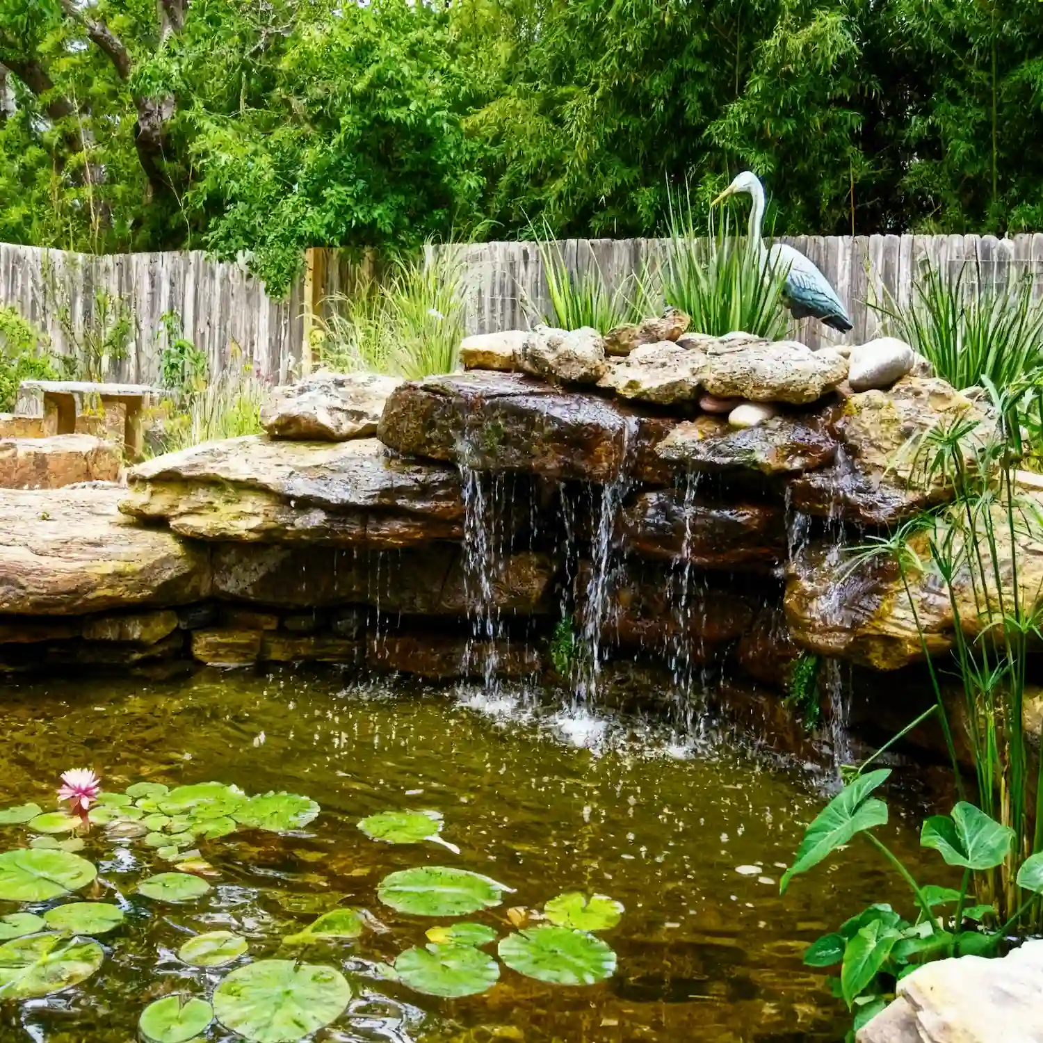 Natural rock waterfall flowing into koi pond with lily pads